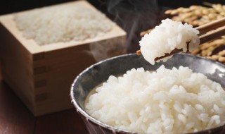 一两米饭的热量（一两米饭的热量高还是一两粥的热量高）