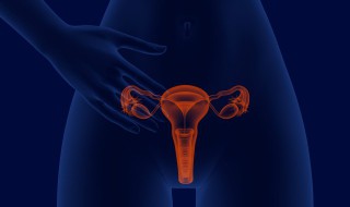 hpv2价和4价的区别 hpv2价和4价的区别hpv适合年龄