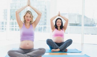 适合孕妇的养生茶（适合孕妇的养生茶有哪些）