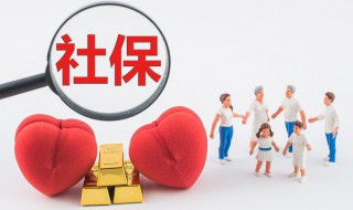 怎么查询社保缴费明细（12333怎么查询社保缴费明细）