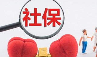 怎么查社保交了多少钱（怎么查社保交了多少钱呐）