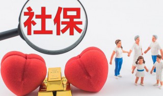 怎么查社保状态（支付宝怎么查社保状态）