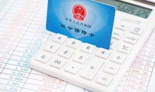 个体社保怎么交（个体社保怎么交最划算）