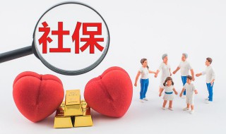 广东社保怎么查询（广东社保怎么查询缴费记录明细）