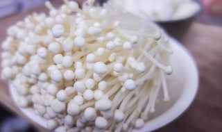 孕妇能吃金针菇吗（孕妇能吃金针菇吗早期）