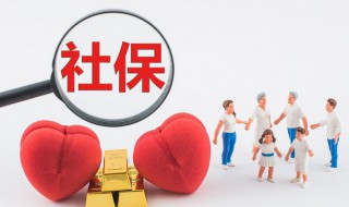 手机上查社保怎么查 手机上查社保怎么查询余额