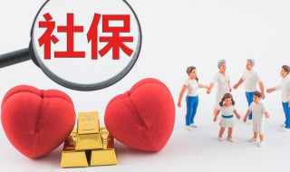 社保基数怎么查询（粤省事社保基数怎么查询）