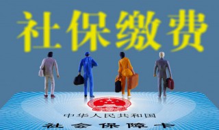 社保交15年和20年区别