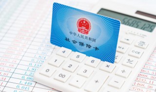 社保网上怎么查询 上海交的社保网上怎么查询