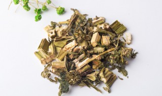 坤草的别名 坤草的别名草