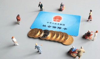 没工作怎么交社保 大学毕业没工作怎么交社保