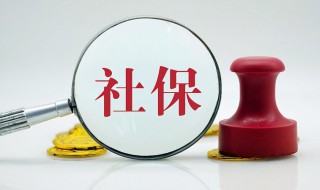 社保公司没交怎么赔偿（没有交社会保险公司如何赔偿）