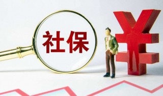 企业社保怎么查询 企业社保怎么查询所有人员