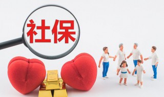社保卡丢失怎么办理 社保卡丢失怎么办理?