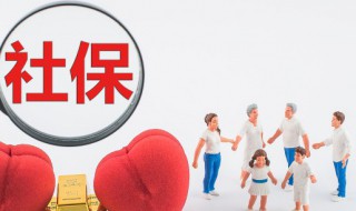 社保享受待遇怎么算（社保待遇怎么计算）