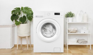 怎样清洗洗衣机内部污垢（怎样清洗洗衣机内部污垢放哪些东西）