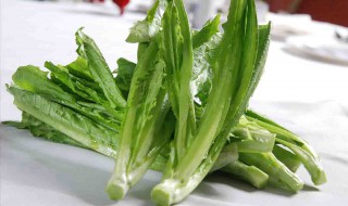 油麦菜的热量（水煮油麦菜的热量）