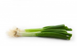 大葱和小葱有什么区别 大葱和小葱有什么区别图片