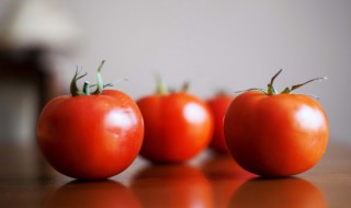 西红柿是蔬菜还是水果(星露谷物语西红柿是蔬菜还是水果)