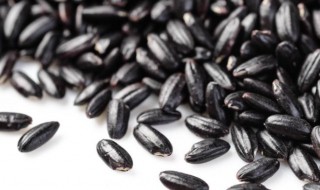 黑米的热量 黑米的热量高吗