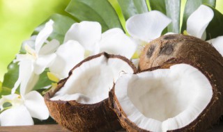 椰子肉热量（椰子肉热量高吗减肥能吃吗）