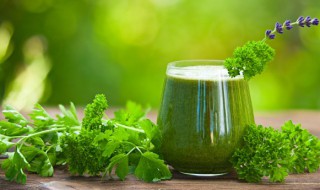 芹菜叶能吃吗（芹菜叶能吃吗对身体有害吗）