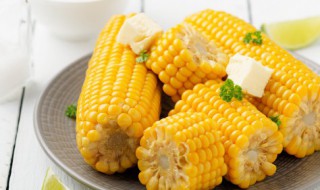 玉米面是粗粮吗（玉米面是粗粮吗糖尿病能吃吗）