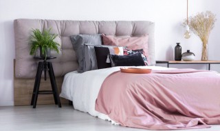 吊兰可以放在卧室吗（金鱼吊兰可以放在卧室吗）