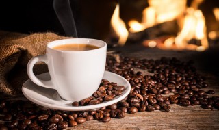 咖啡豆和可可豆的区别 咖啡豆和可可豆的区别是什么