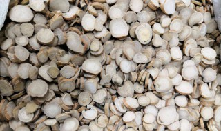 白芍和赤芍的区别 白芍和赤芍的区别图片