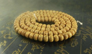 星月菩提子的作用与功效 星月菩提子作用和功效