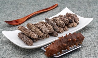 辽参和海参的区别（辽参和海参的区别图片）