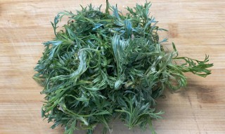 白蒿怎么泡水喝 白蒿怎么泡水喝对肝好