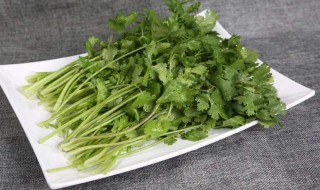 为什么有人不吃香菜 为什么有人不吃香菜和葱