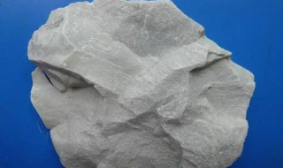 高岭土是什么东西（高岭土是什么东西高中化学）