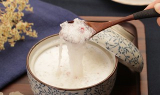 雪燕是什么东西（雪燕是什么东西做的）