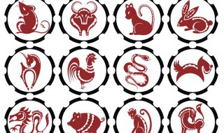 地上的生肖指什么生肖 地上是指什么生肖