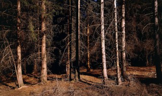 酸雨的危害有哪些 酸雨的危害有哪些总结四条