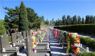 选墓地有什么讲究（选墓地有什么讲究干燥）