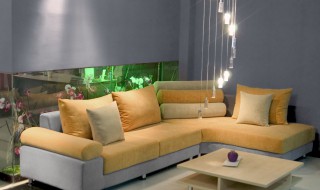 搬新房有什么讲究（搬新房有什么讲究先什么进去）