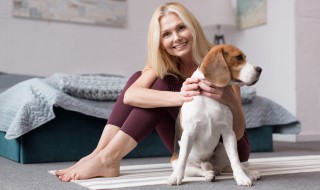 遛狗不拴绳该怎么办 遛狗不栓狗绳怎么办