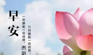 关于早上好朋友们的早安祝福句子（关于早上好朋友们的早安祝福句子英语）
