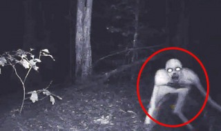 十大神秘生物 海底十大神秘生物