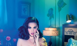 kp是指什么（四大kp是指什么）