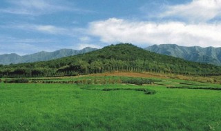 怎样看阴宅风水 怎样看阴宅风水好与坏