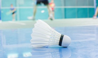 一个羽毛球上一般有几只羽毛 一个羽毛球上一般有几只羽毛啊