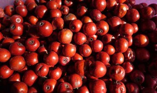 梦见吃酸枣 梦见吃酸枣是什么意思