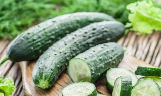 黄瓜酸奶减肥方法（黄瓜酸奶减肥方法）