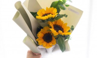 教师节花束花语 教师节花束花语及寓意