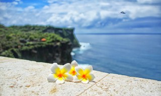 拍风景照小技巧（拍风景照小技巧图片）